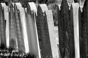 Are Blogs Dying?