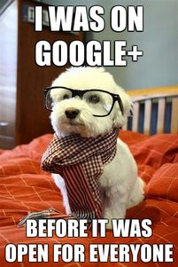 How To Invite Your Friends to Google+ Using Twitter How To Invite Your Friends to Google+ Using Twitter