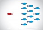 Why You Should Focus On Trust, Not Traffic