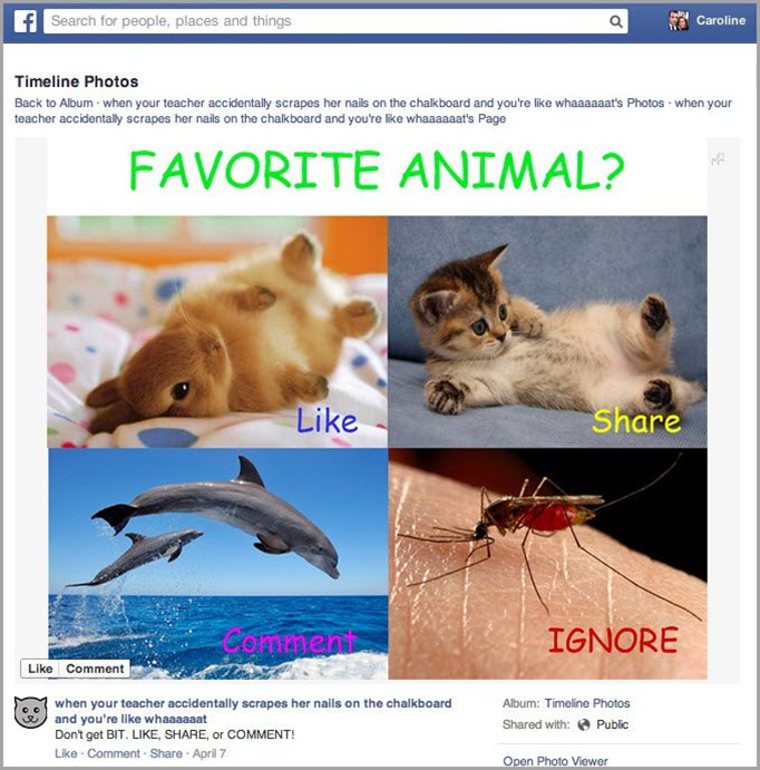 14 непростительных ошибок в маркетинге на Facebook, которых следует избегать 7 Задайте реальные вопросы