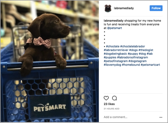 Petsmart hashtag competition
