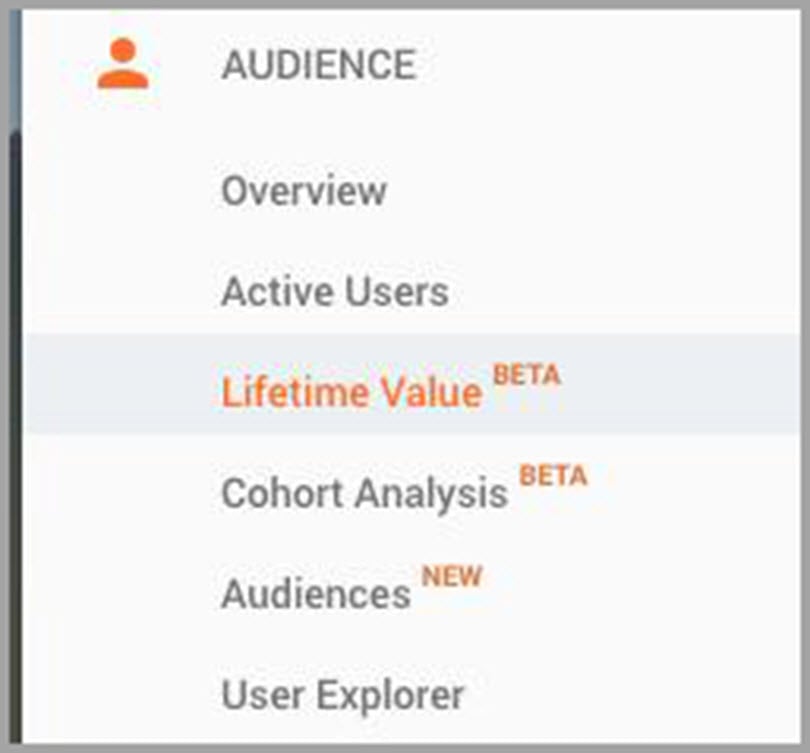 Lifetime Value for Audience for SEO metrics