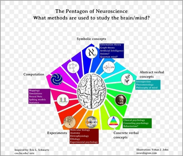 The Neuroscience of Creativity - A Short Guide