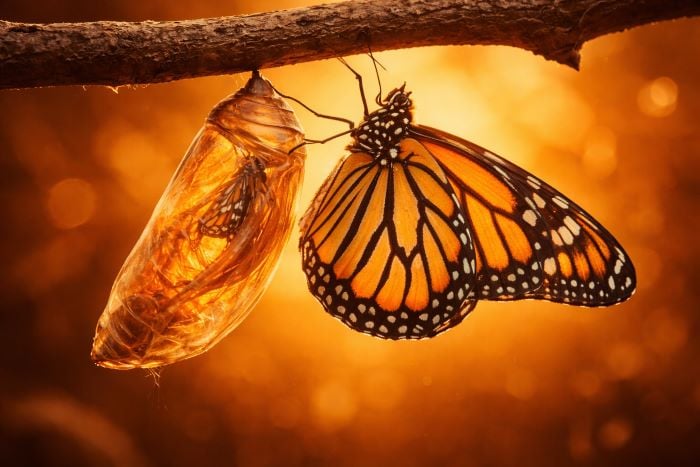 AI and Personal Transformation